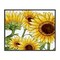 Stupell Industries Rustic Bloom Sunflowers Framed Giclee, design by Kim Allen